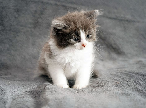 Quidam am 28.05.2025